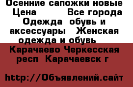 Осенние сапожки новые › Цена ­ 600 - Все города Одежда, обувь и аксессуары » Женская одежда и обувь   . Карачаево-Черкесская респ.,Карачаевск г.